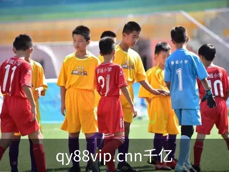 关于qy88vip.cnn千亿
